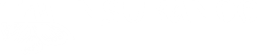 our-partner-logo-tm-insurance-white